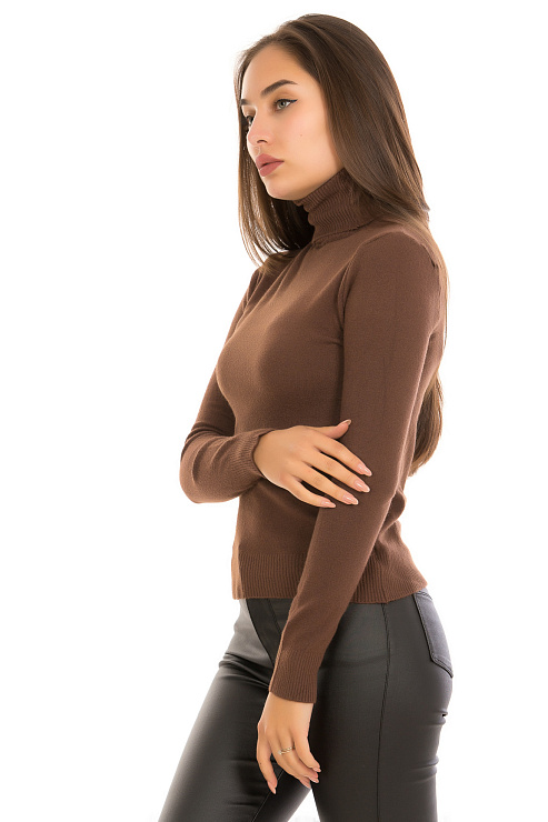 Fashion 3462 КОРИЧНЕВЫЙ Водолазка женская FASHION цвет Коричневый