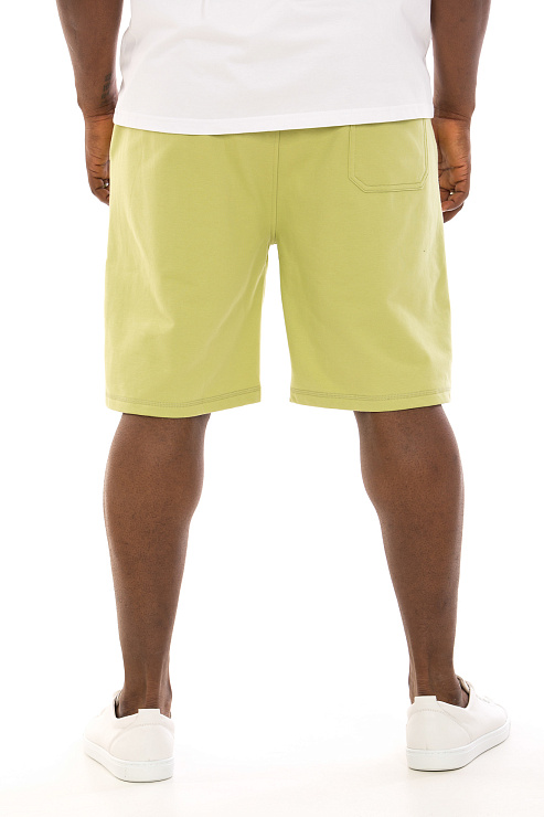 CHEERDUCK/4066 5586 СВЕТЛ.ЗЕЛЕНЫЙ Шорты мужские CHEERDUCK цвет Зеленый