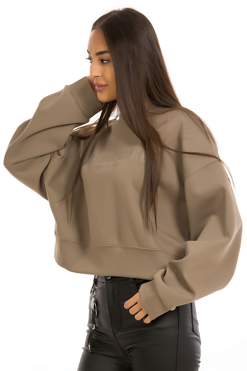 CHEERDUCK/GuaZ 1302 Т.КОРИЧНЕВЫЙ Свитшот женский CHEERDUCK цвет Коричневый